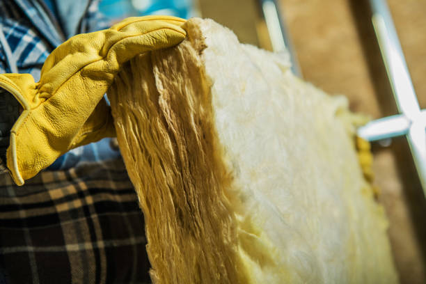 Best Professional Insulation Contractor  in Elk Rapids, MI