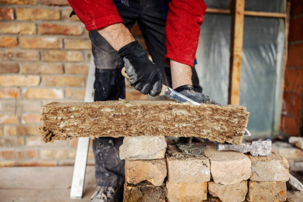 Best Local Insulation Services  in Elk Rapids, MI