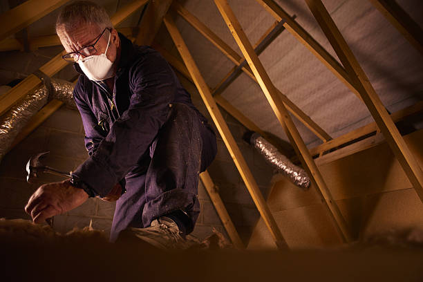 Best Insulation Replacement Services  in Elk Rapids, MI