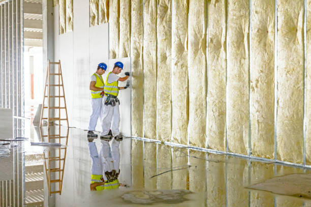 Best Wall Insulation Contractor  in Elk Rapids, MI